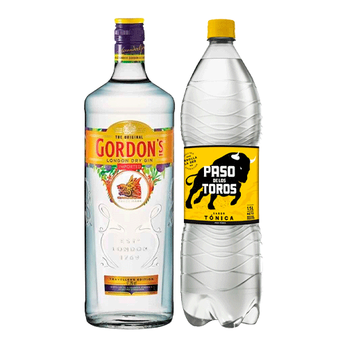 GIN GORDON + 1 TONICA